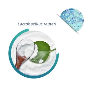 Ki sa ki Lactobacillus reuteri poud?